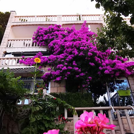 Villa Bose- Apartmani Luka Sodan Brela Cameră foto