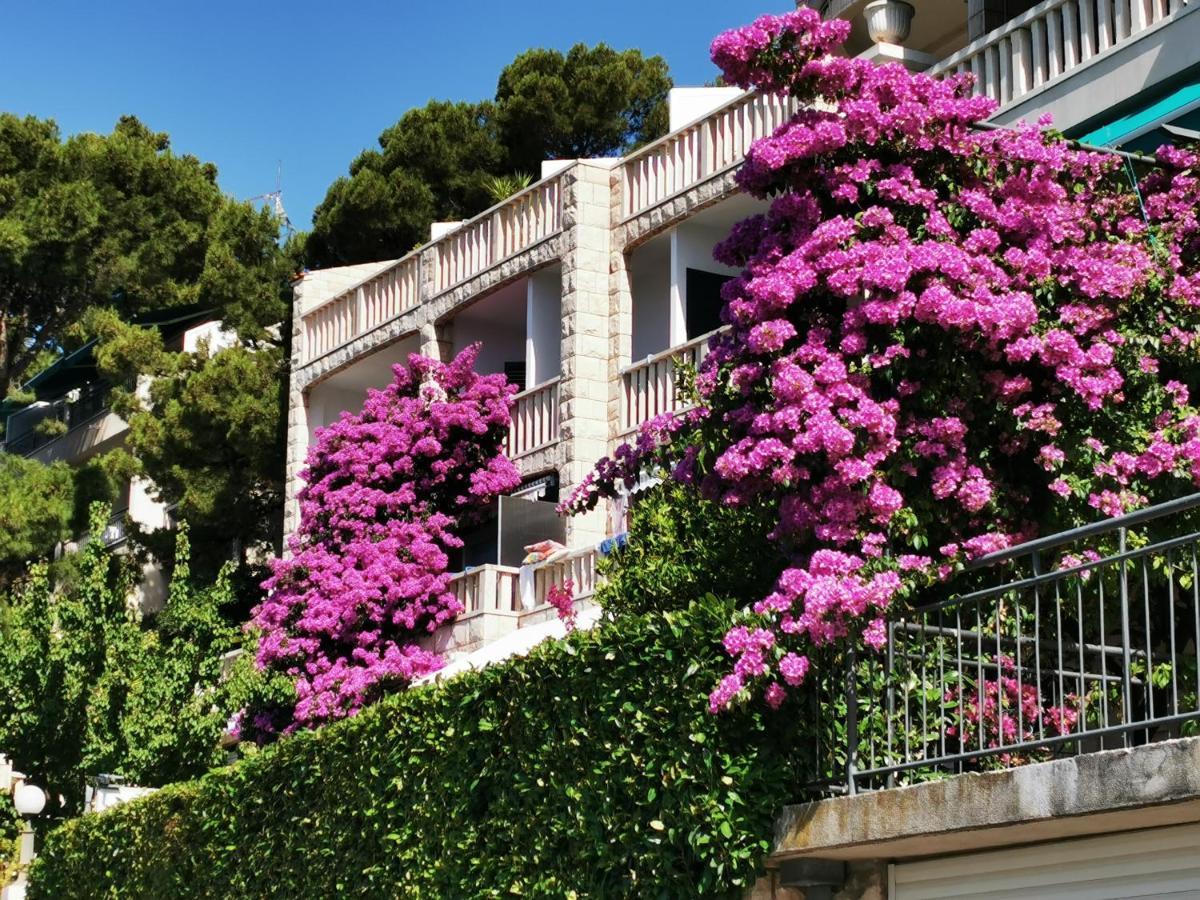 Villa Bose- Apartmani Luka Sodan Brela Exterior foto