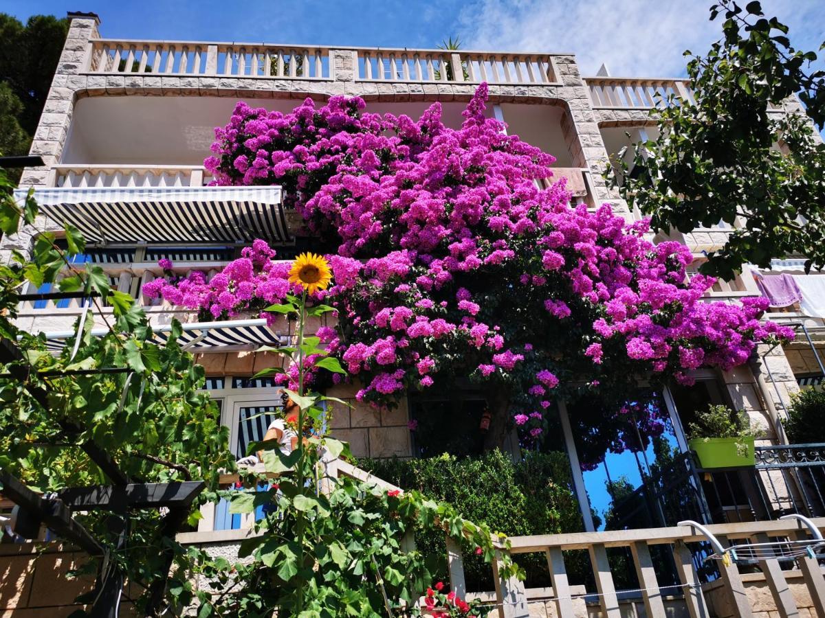 Villa Bose- Apartmani Luka Sodan Brela Exterior foto