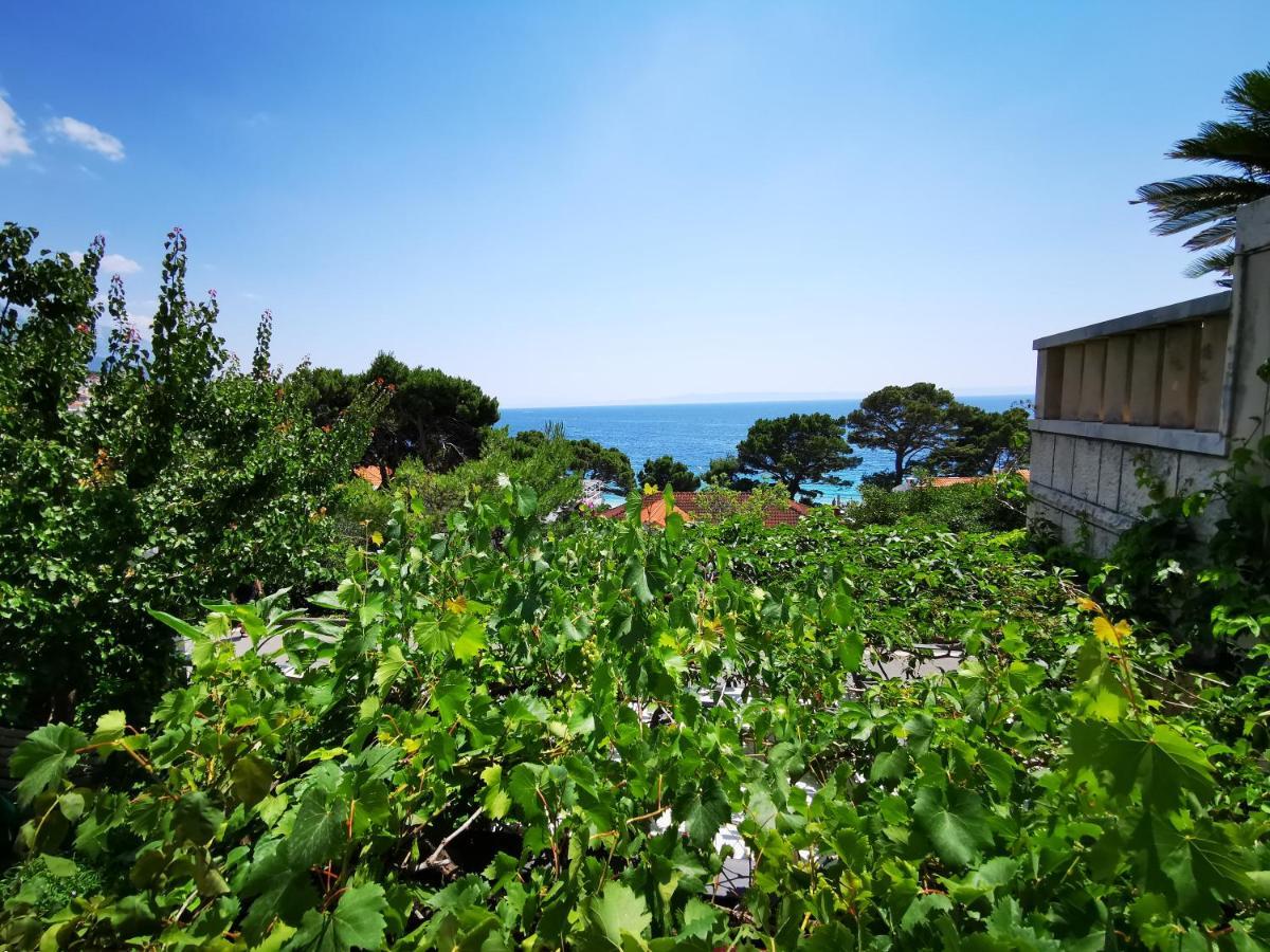 Villa Bose- Apartmani Luka Sodan Brela Exterior foto