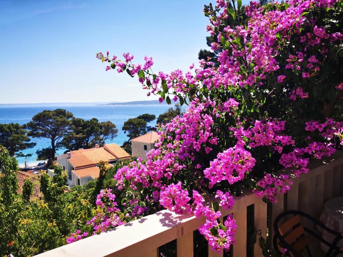 Villa Bose- Apartmani Luka Sodan Brela Exterior foto