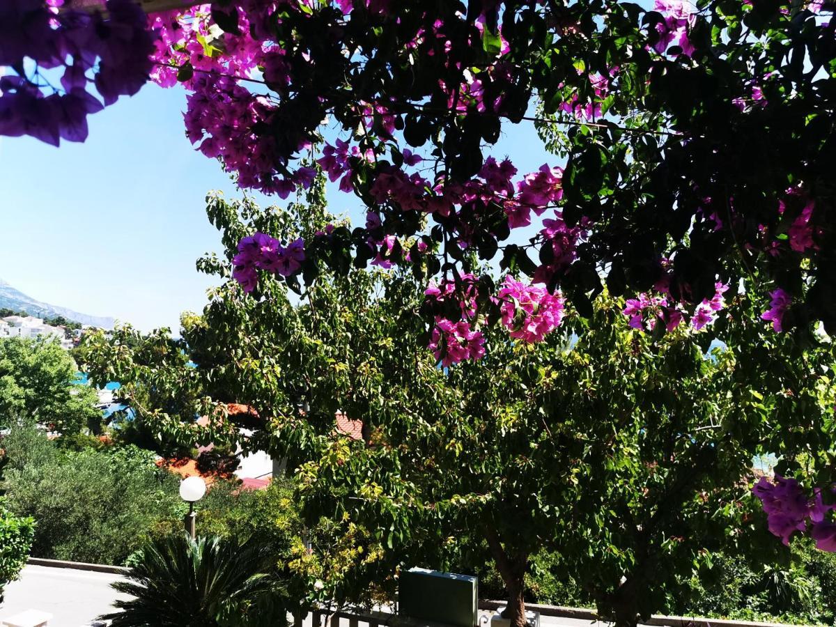 Villa Bose- Apartmani Luka Sodan Brela Exterior foto