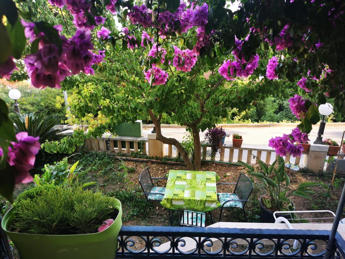 Villa Bose- Apartmani Luka Sodan Brela Exterior foto