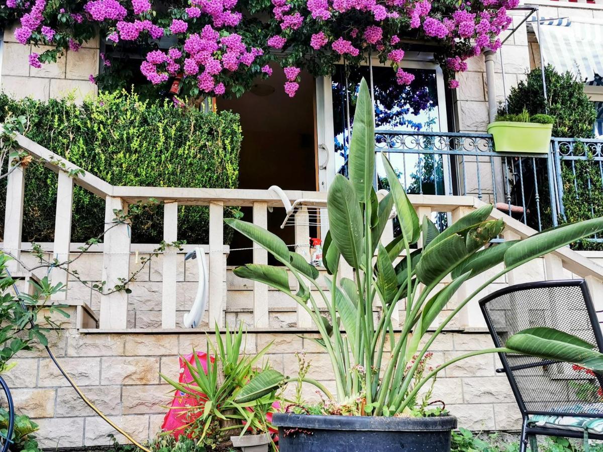 Villa Bose- Apartmani Luka Sodan Brela Exterior foto
