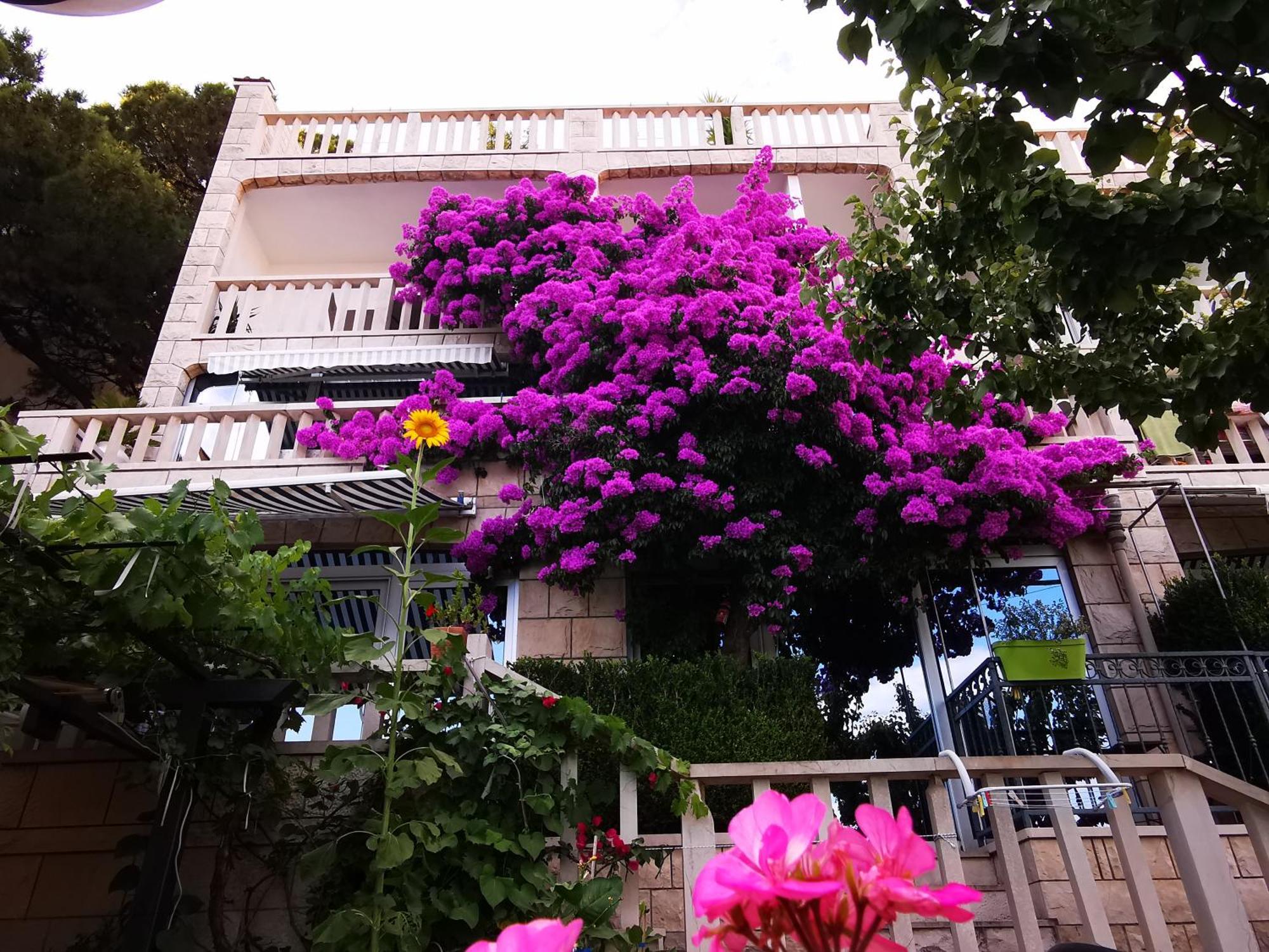 Villa Bose- Apartmani Luka Sodan Brela Cameră foto